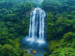Coorg to Wayanad 